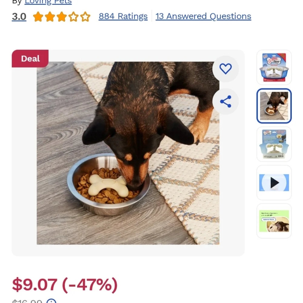 Slow Feeder for Dogs